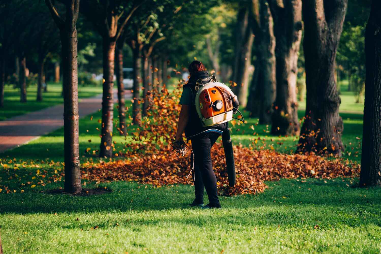 Best Tree Care Services  in Palatka, FL